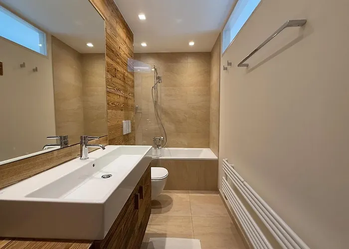 公寓 Luxury Duplex ,swiss Alps 克莱恩 蒙塔纳