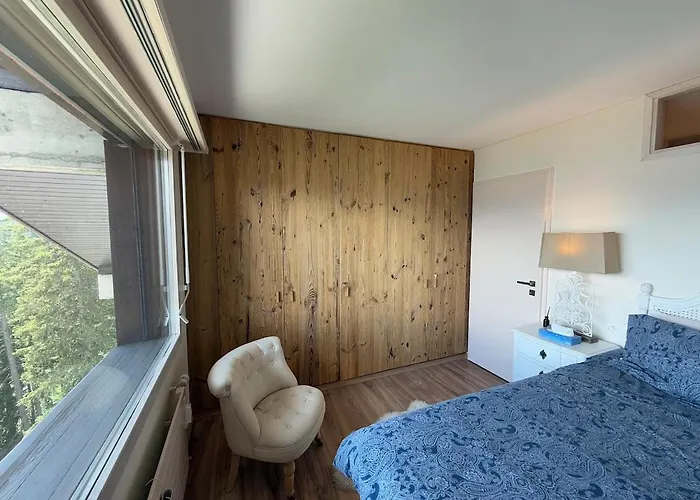 公寓 Luxury Duplex ,swiss Alps 克莱恩 蒙塔纳